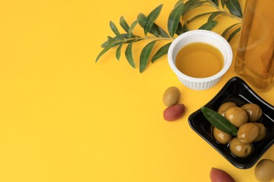 Photo of Oil, olives and tree twigs on yellow background, view from above. Space for text
