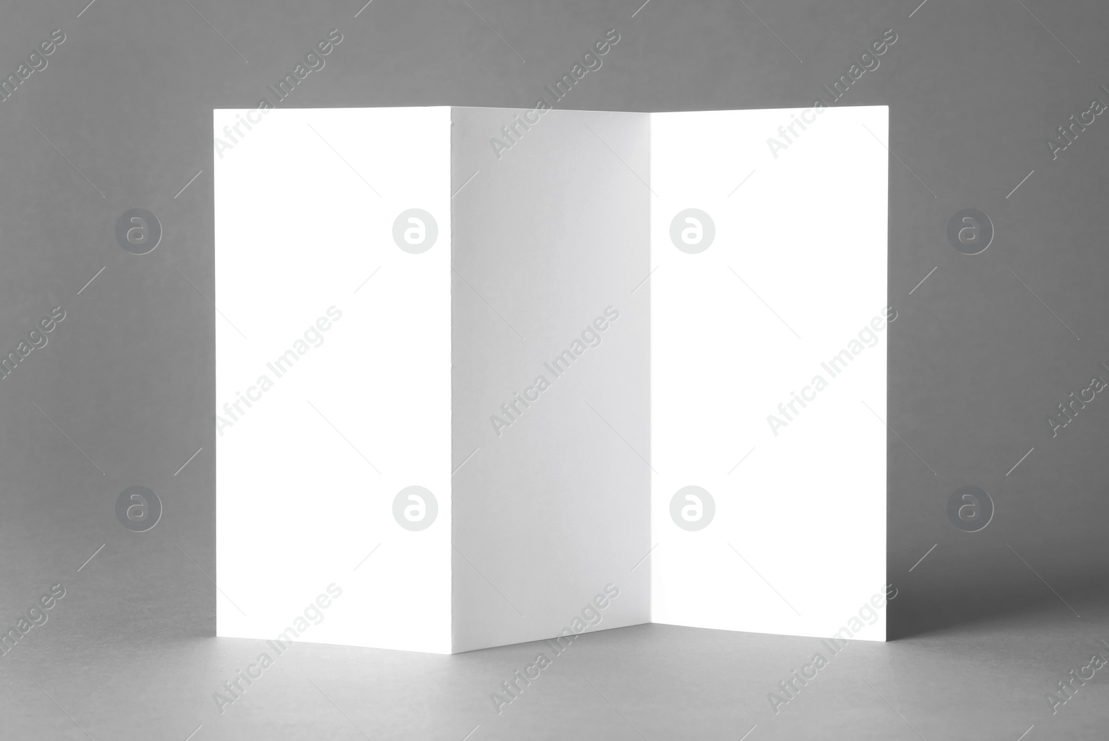 Photo of Blank brochure mock up on color background