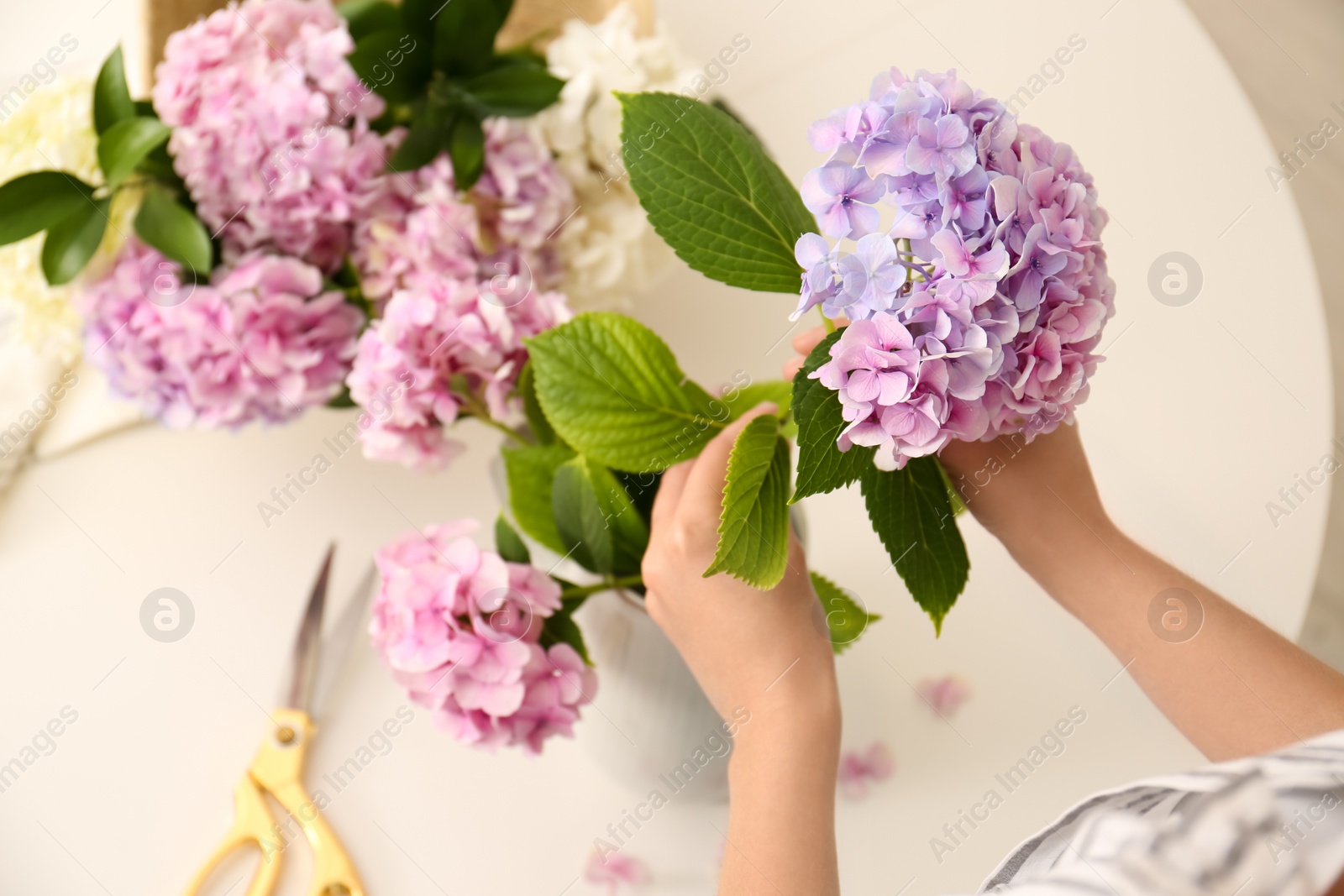 Photo of Woman making bouquet with beautiful hydrangea flowers indoors, closeup. Interior design element