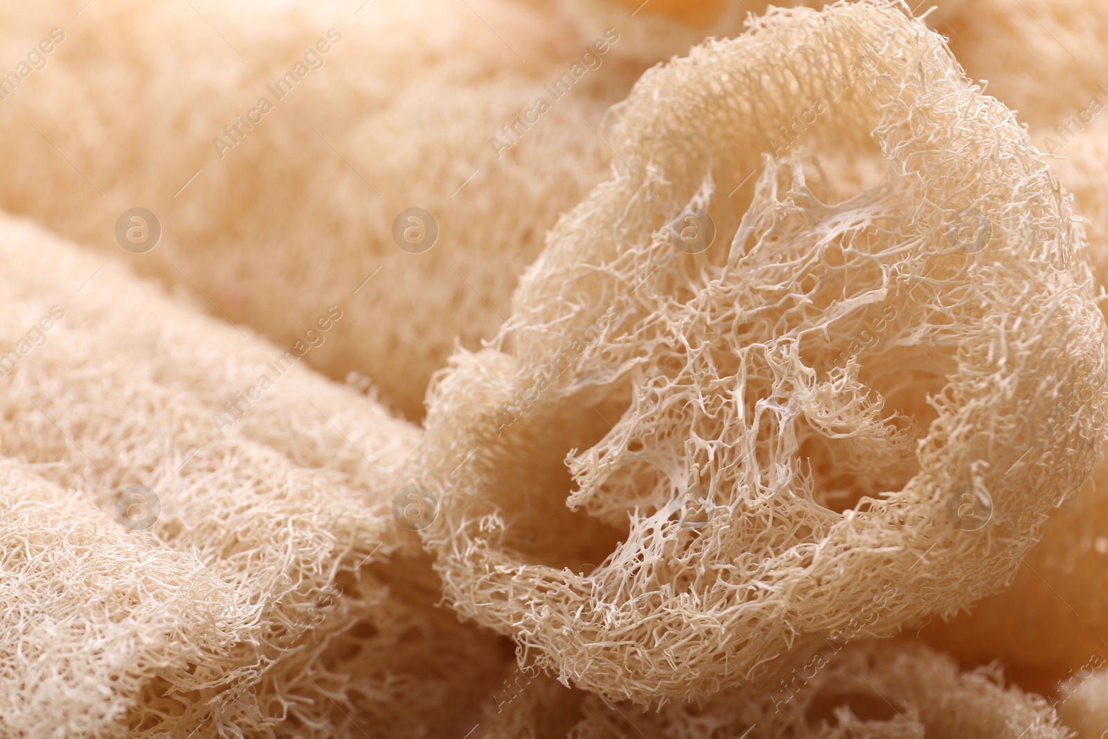 Photo of Natural loofah sponges as background, closeup view