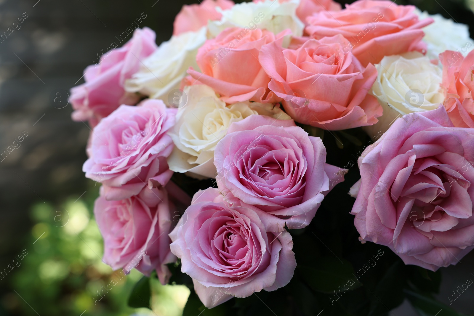 Photo of Beautiful bouquet of aromatic roses outdoors, closeup