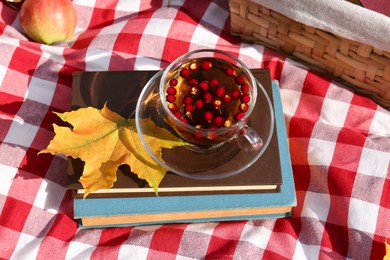 Photo of Cup of tea with hawthorn berries and books on plaid, above view. Autumn atmosphere