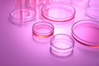 Petri dishes with liquid on table, toned in pink