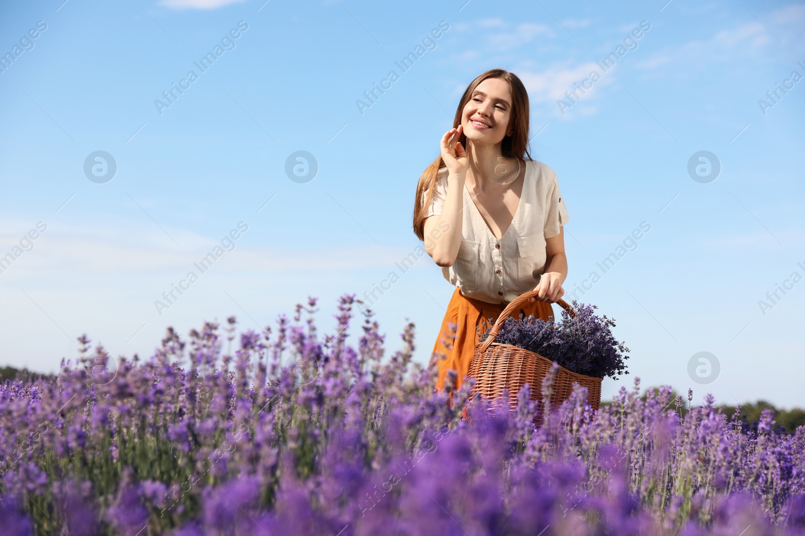 Photo of Young woman with wicker basket full of lavender flowers in field