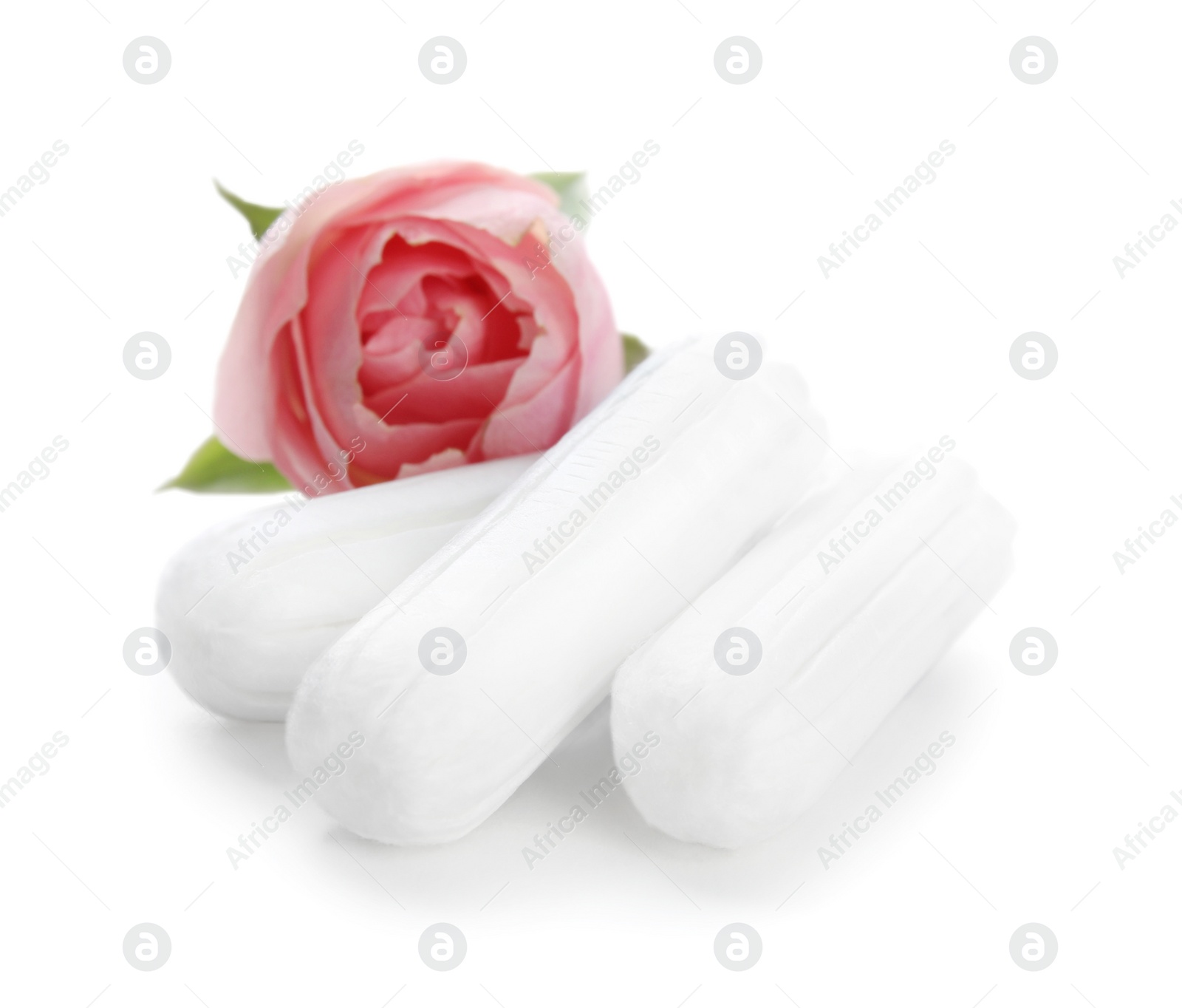 Photo of Tampons and beautiful rose on white background