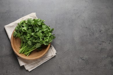 Photo of Bunch of fresh green cilantro in bowl on grey table, top view. Space for text