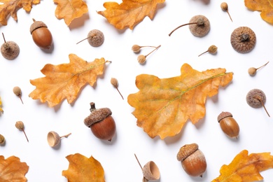 Photo of Flat lay composition with autumn leaves on white background