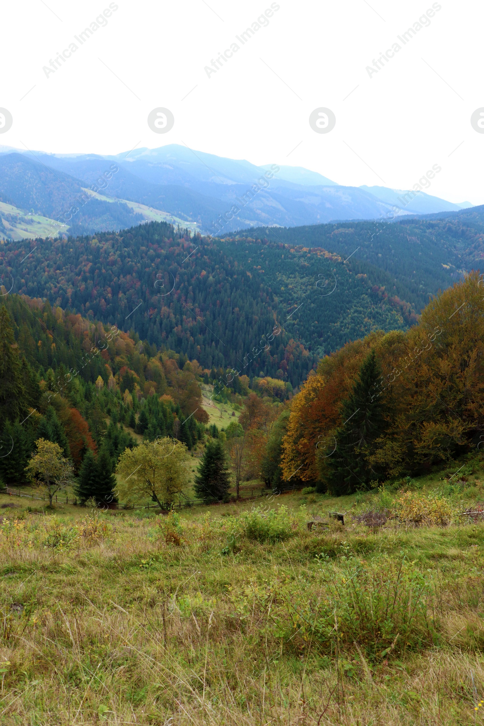 Photo of Beautiful view of landscape with mountain hills