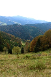 Photo of Beautiful view of landscape with mountain hills