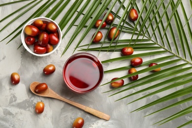 Flat lay composition with palm oil and fresh fruits on grey table