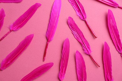 Photo of Bright beautiful feathers on pink background, flat lay