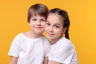 Happy brother and sister on orange background