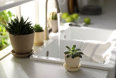 Photo of Beautiful potted plants on countertop near window in kitchen