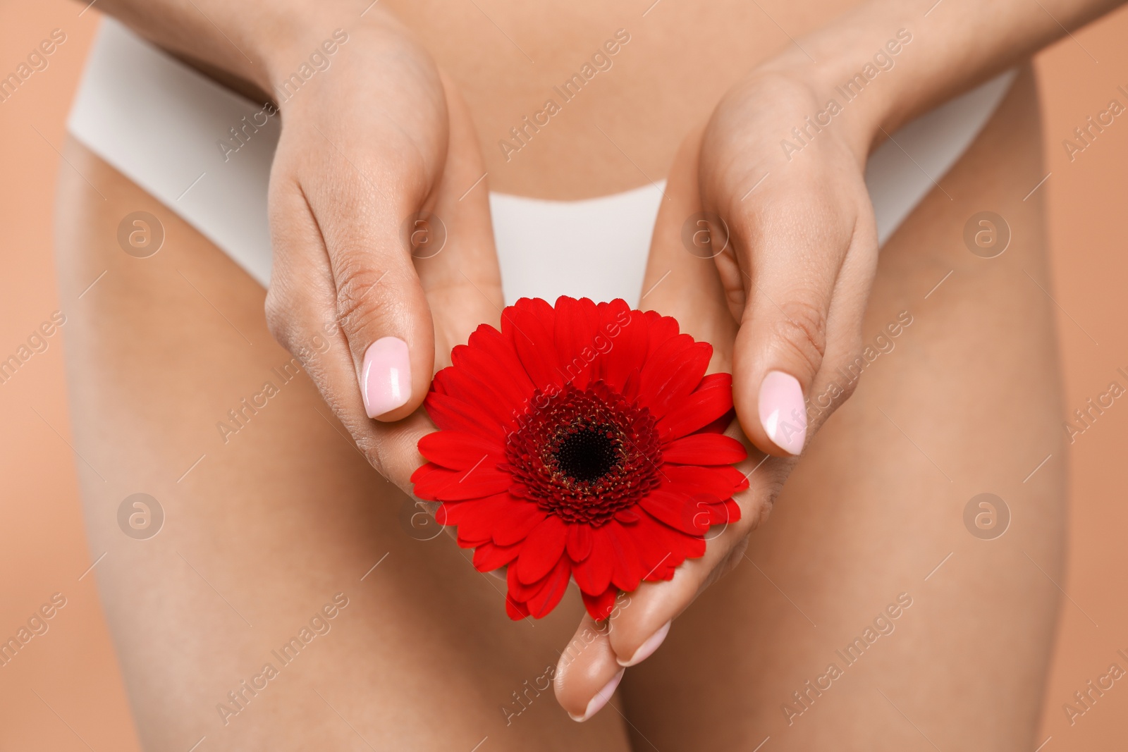 Photo of Woman in white panties with gerbera flower on peach background, closeup