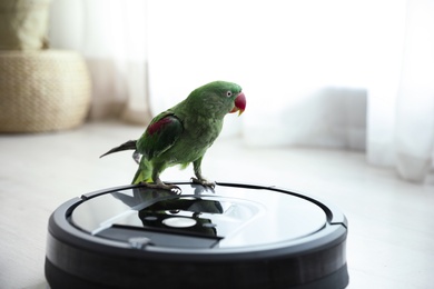 Photo of Modern robotic vacuum cleaner and Alexandrine parakeet on floor indoors