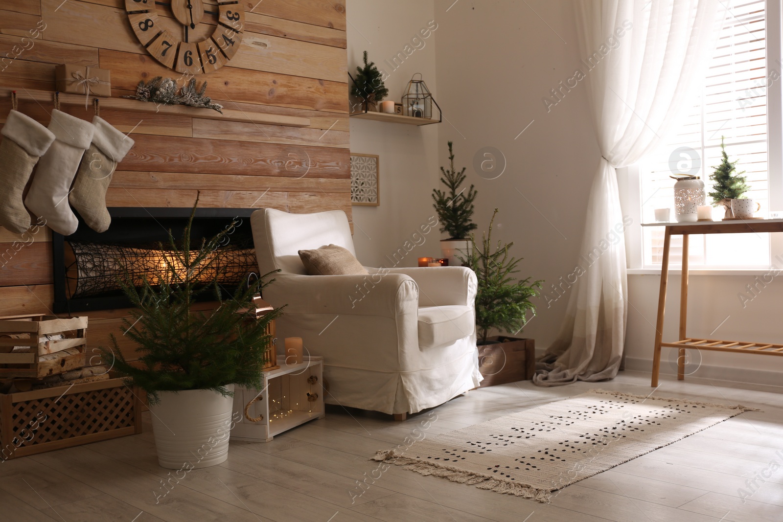 Photo of Potted fir trees and Christmas decorations in room with fireplace. Stylish interior design