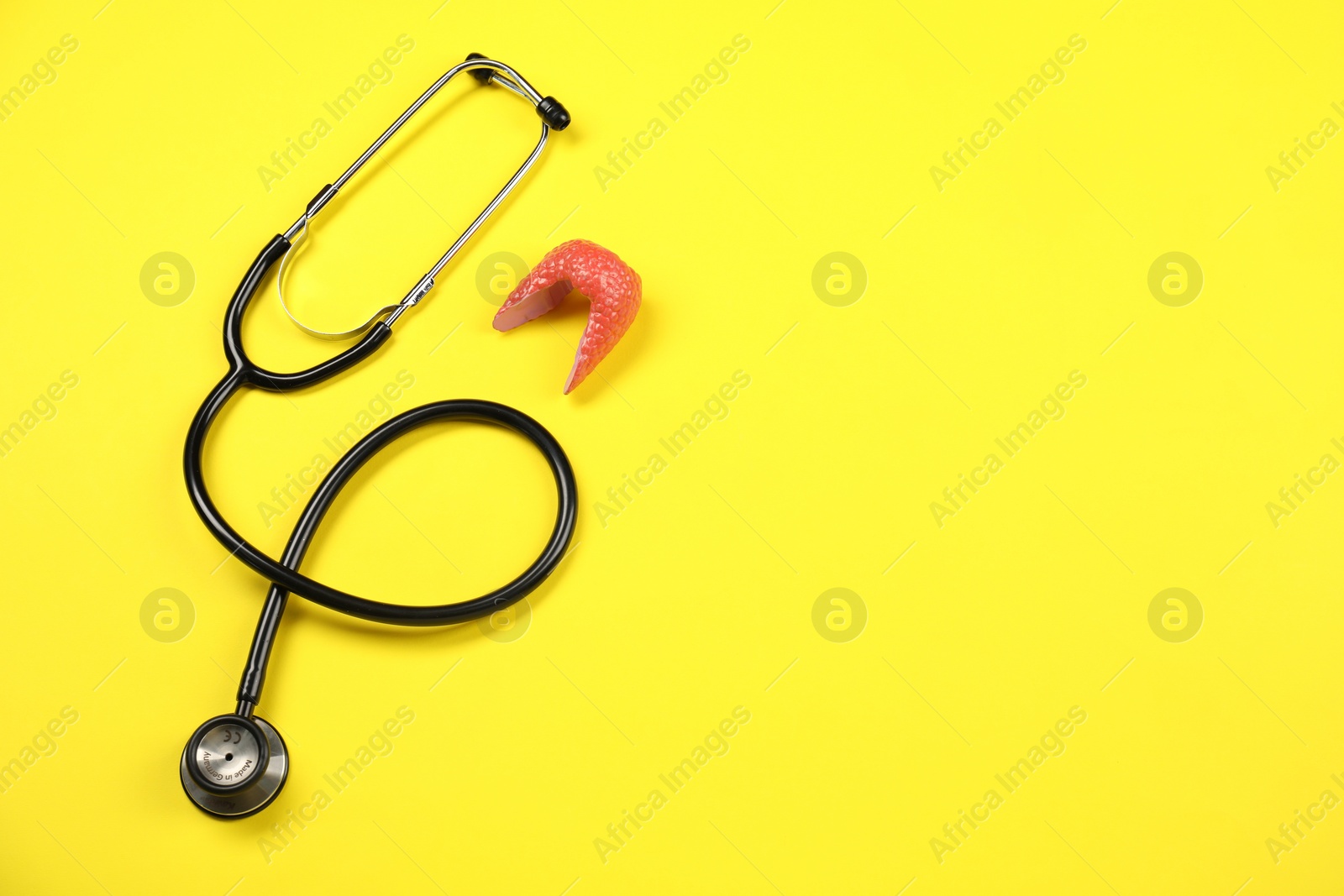 Photo of Endocrinology. Stethoscope and model of thyroid gland on yellow background, top view. Space for text