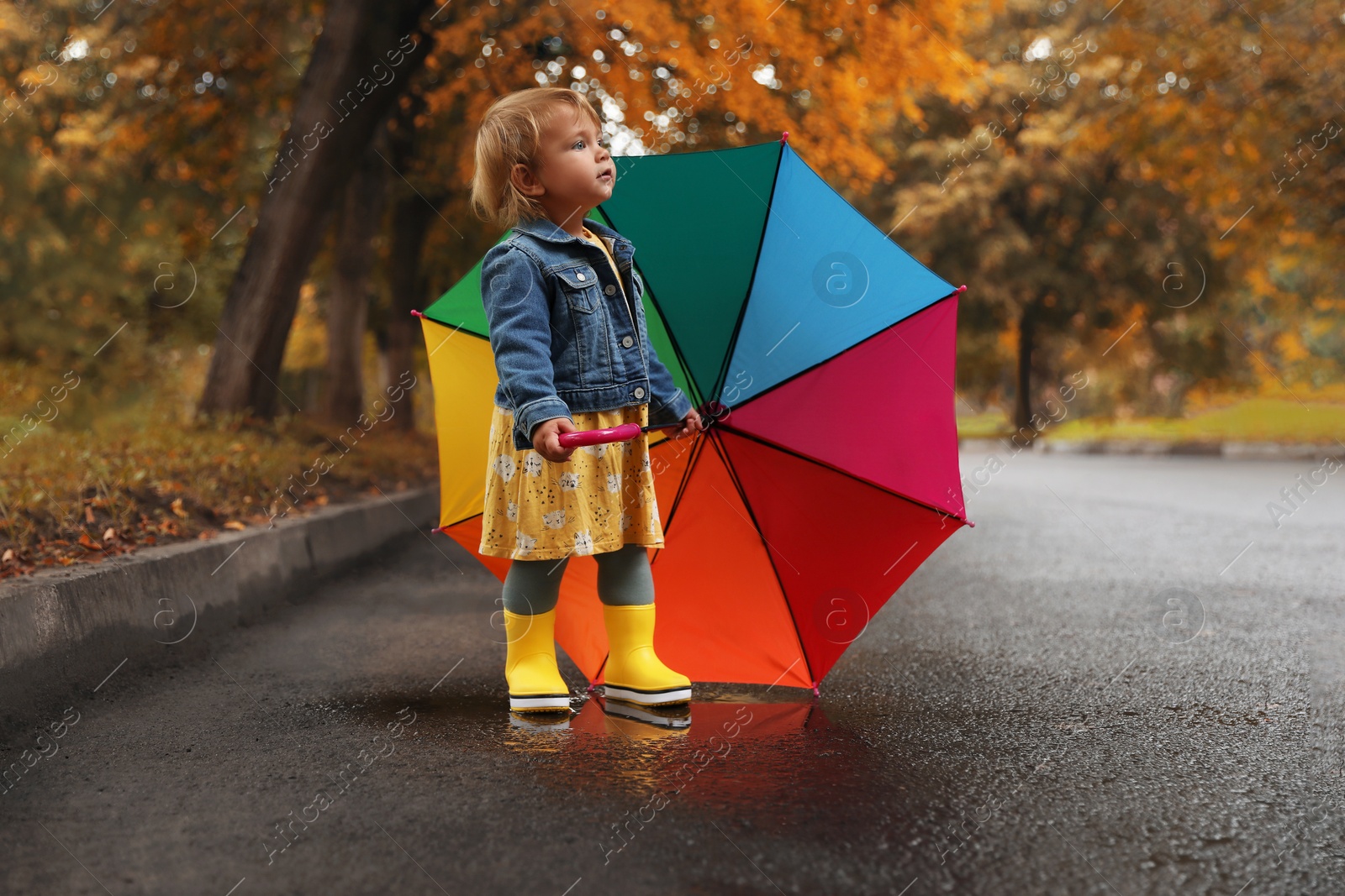 Photo of Cute little girl with colorful umbrella standing in puddle outdoors