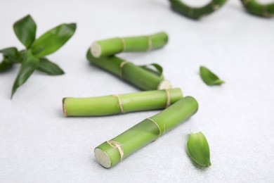 Photo of Pieces of beautiful green bamboo stems on light background