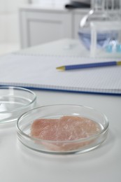 Photo of Petri dish with piece of raw cultured meat on white table in laboratory, space for text