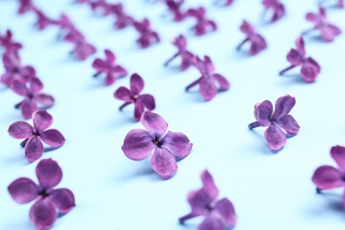 Photo of Beautiful lilac flowers on light blue background, closeup