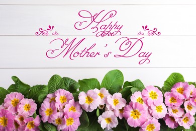 Image of Happy Mother's Day. Beautiful pink primula (primrose) flowers on white wooden background, flat lay