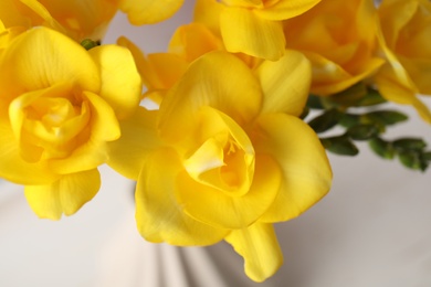 Photo of Beautiful spring freesia flowers on blurred background, closeup