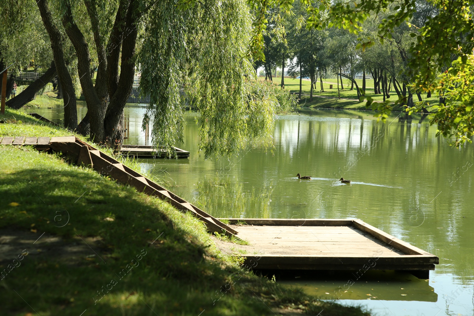 Photo of Quiet park with green trees and pond on sunny day