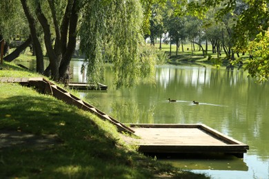 Quiet park with green trees and pond on sunny day