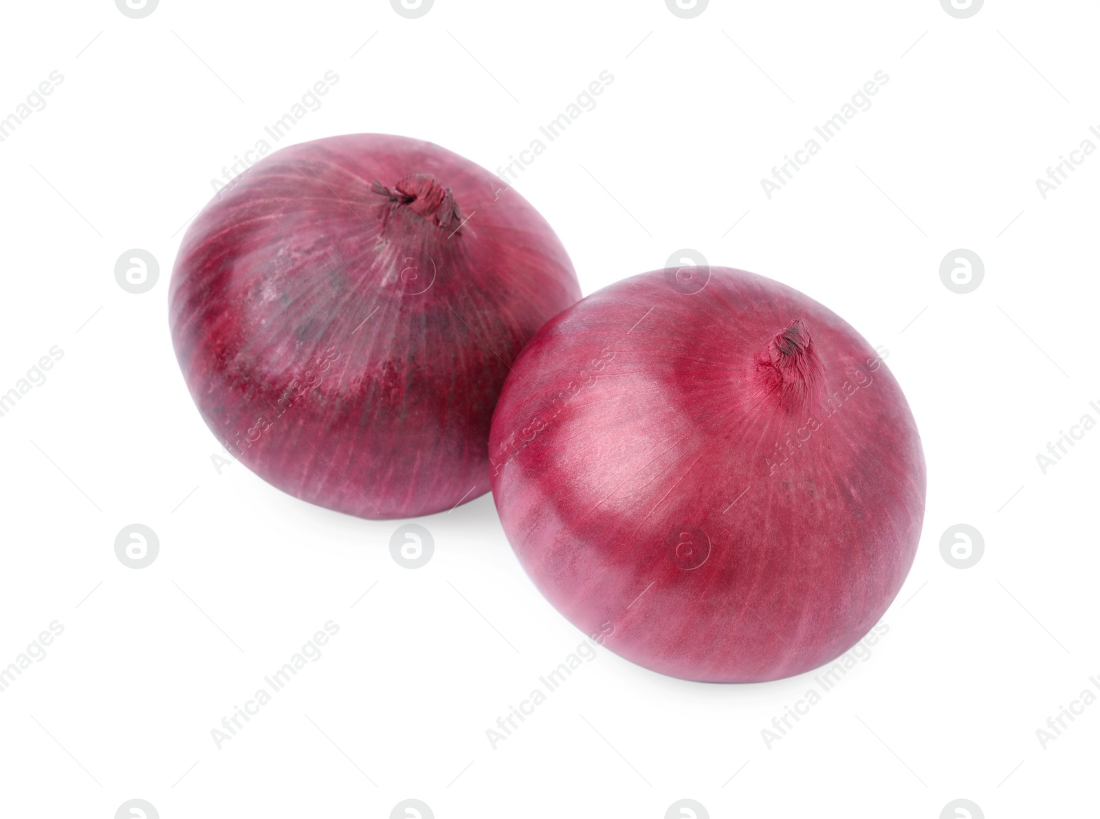 Photo of Two fresh red onions on white background