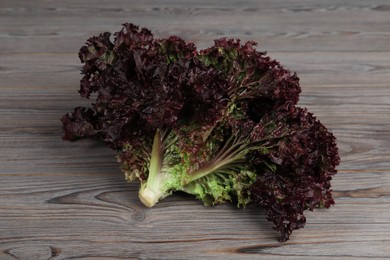 Photo of Bunch of fresh red coral lettuce on wooden table