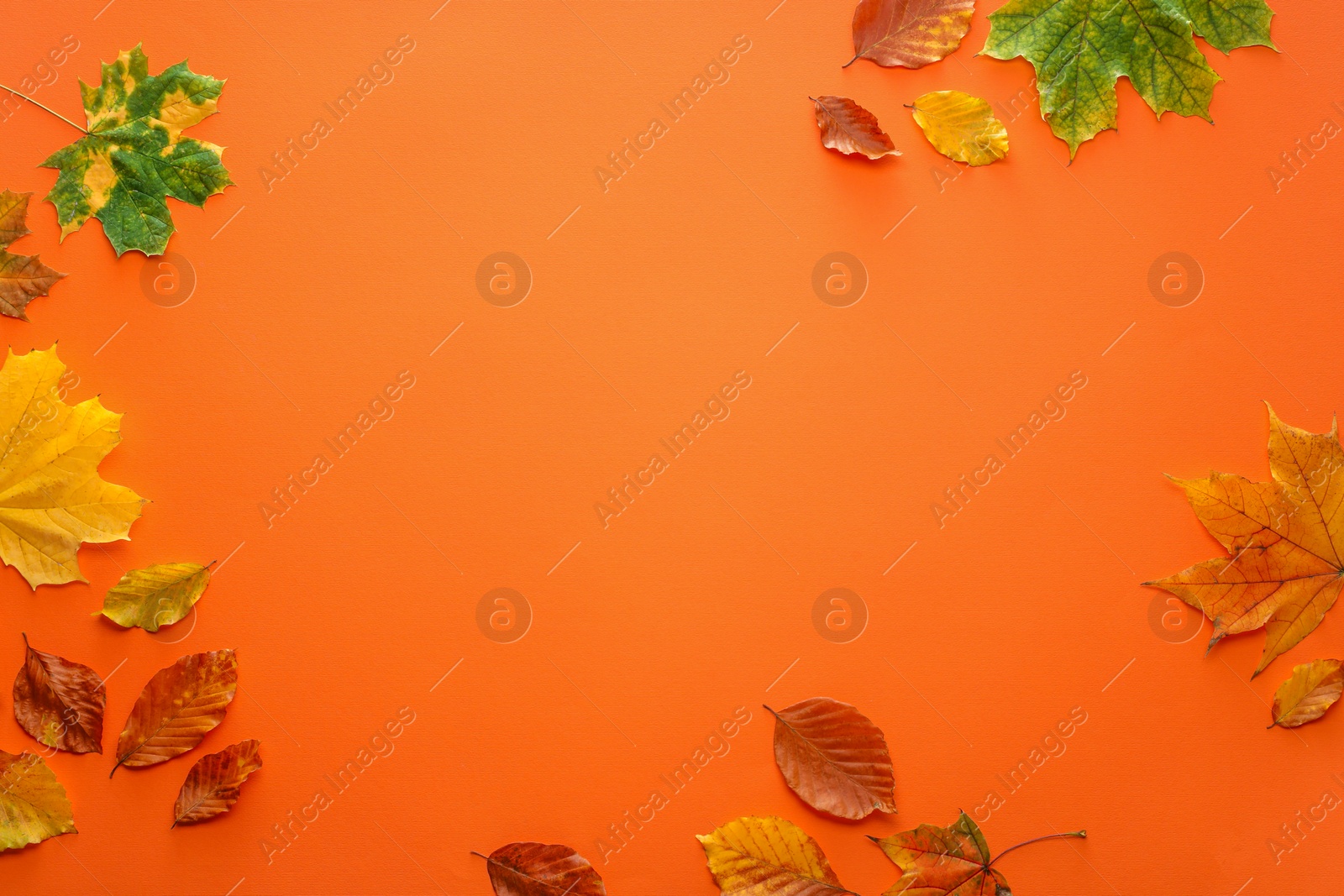 Photo of Beautiful autumn leaves on orange background, flat lay. Space for text