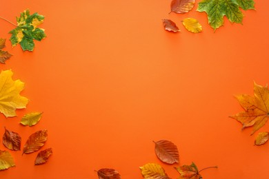 Beautiful autumn leaves on orange background, flat lay. Space for text