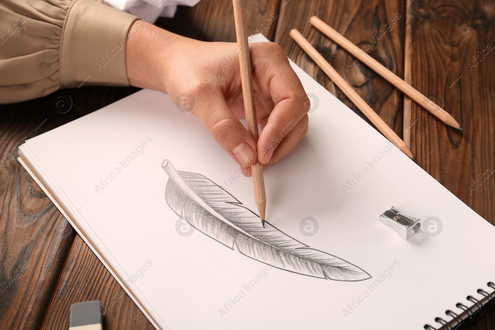 Photo of Woman drawing feather with graphite pencil in sketchbook at wooden table, closeup