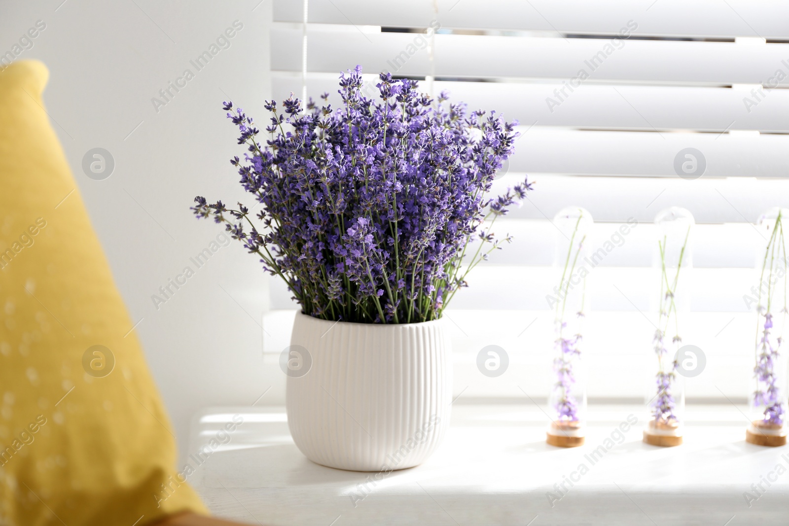 Photo of Beautiful lavender flowers on window sill indoors