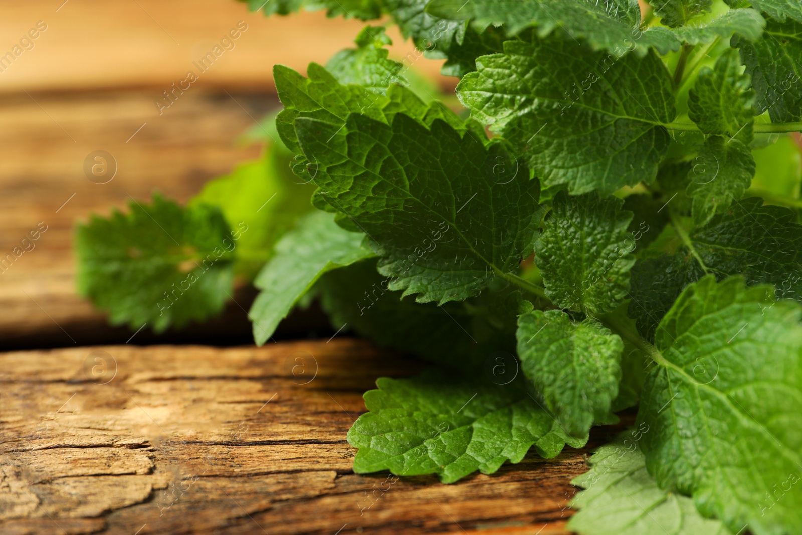 Photo of Fresh green lemon balm leaves on wooden table, closeup