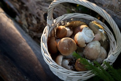 Photo of Fresh mushrooms in basket on wood outdoors, above view