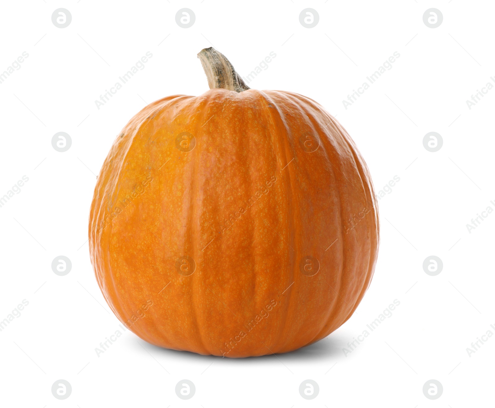 Photo of Fresh raw pumpkin isolated on white. Organic plant