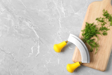 Cutting board with dill, chopping knife and space for text on grey background, flat lay
