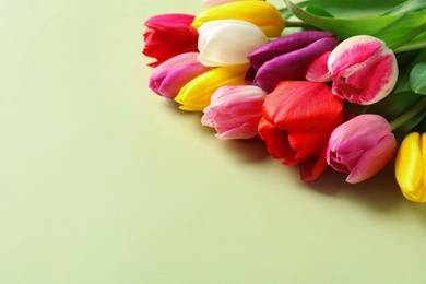 Photo of Beautiful spring tulip flowers on color background. Space for text