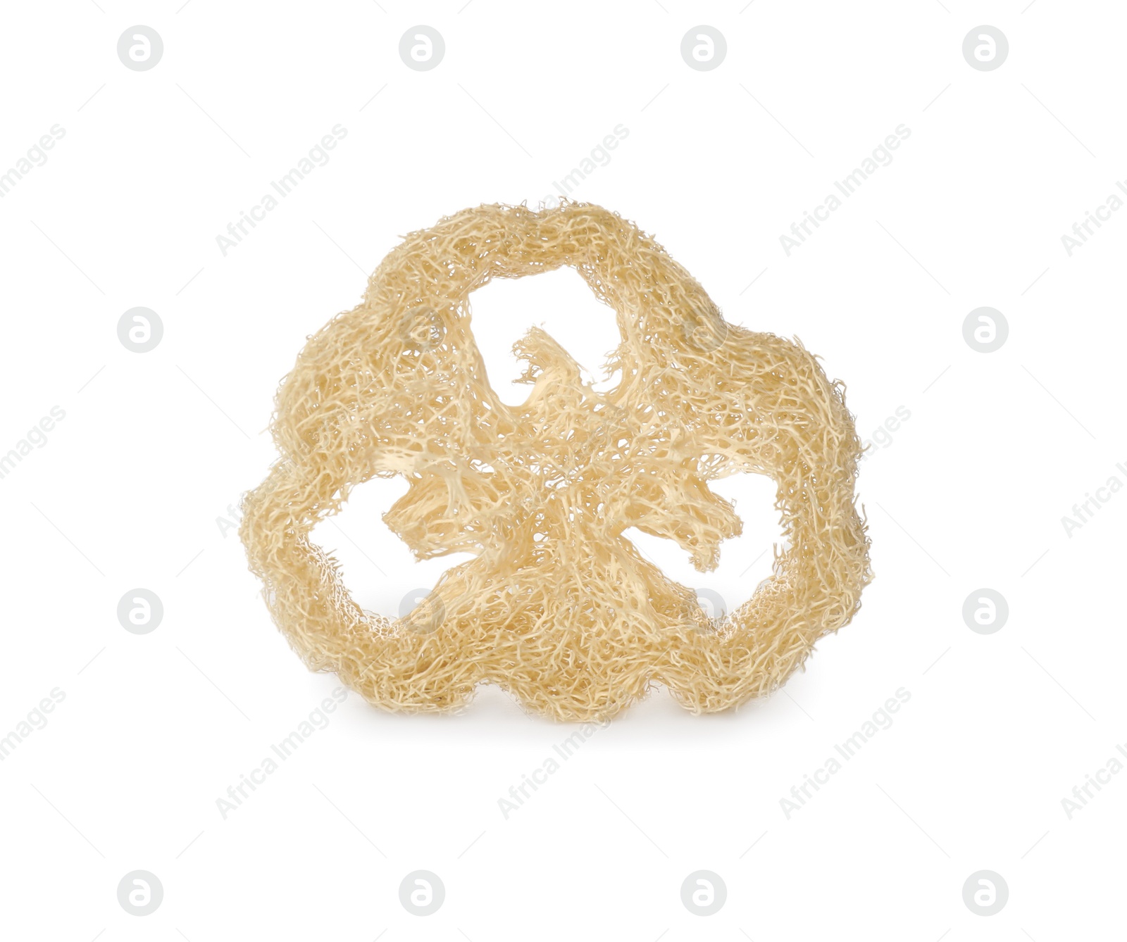 Photo of One natural loofah sponge isolated on white