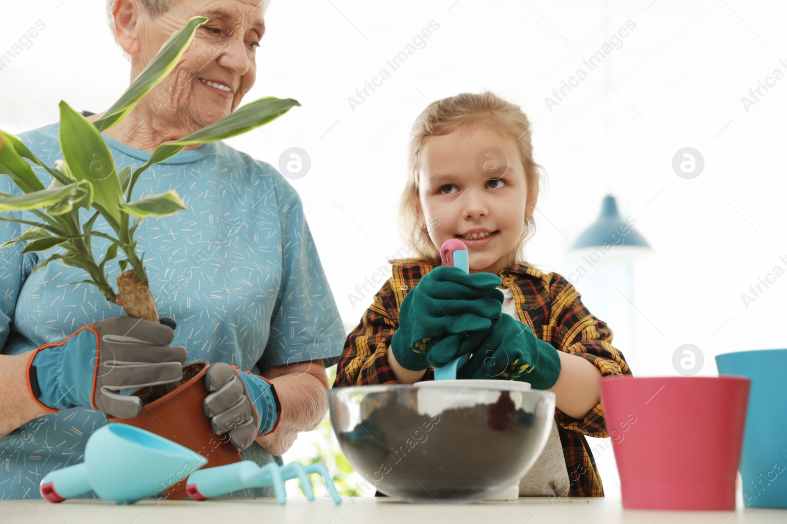 Photo of Little girl and her grandmother taking care of plants indoors