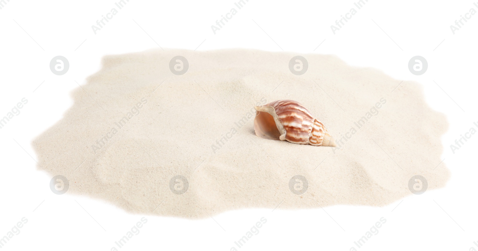 Photo of Pile of beach sand with sea shell on white background