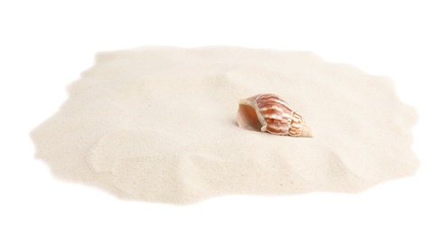 Pile of beach sand with sea shell on white background