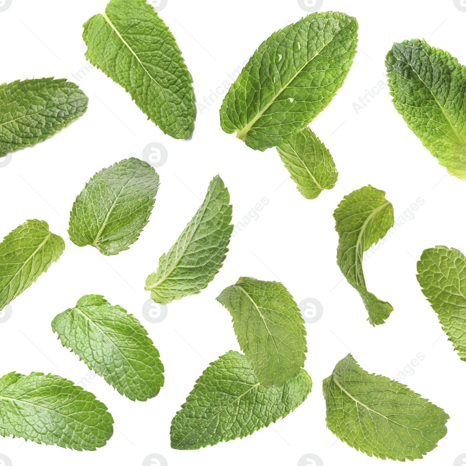 Image of Set of flying green mint leaves on white background