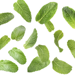 Image of Set of flying green mint leaves on white background