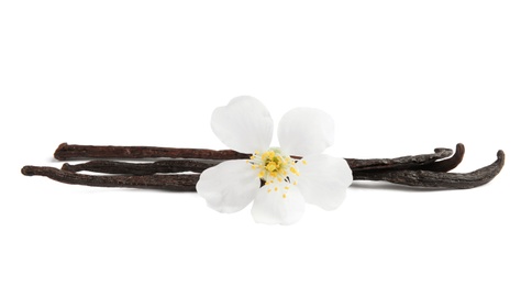 Photo of Aromatic vanilla sticks and flower on white background