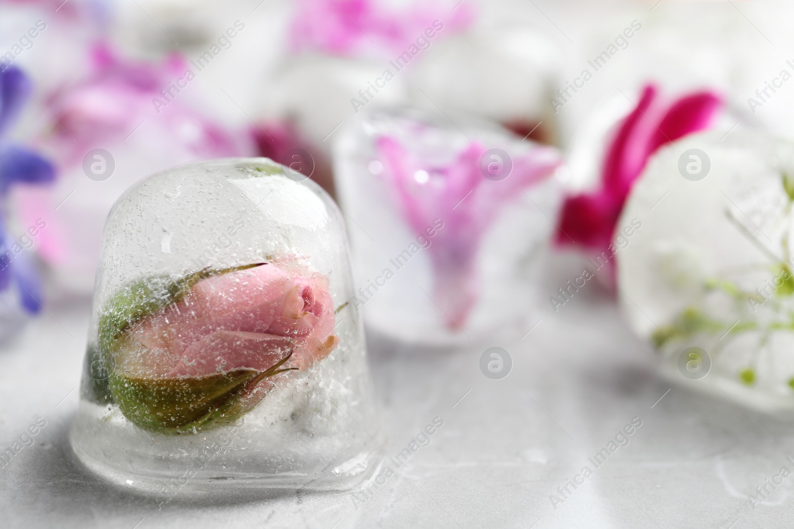 Photo of Ice cubes with flowers on light background, closeup