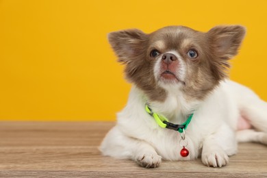 Photo of Adorable Chihuahua in dog collar with bell on wooden table against yellow background. Space for text