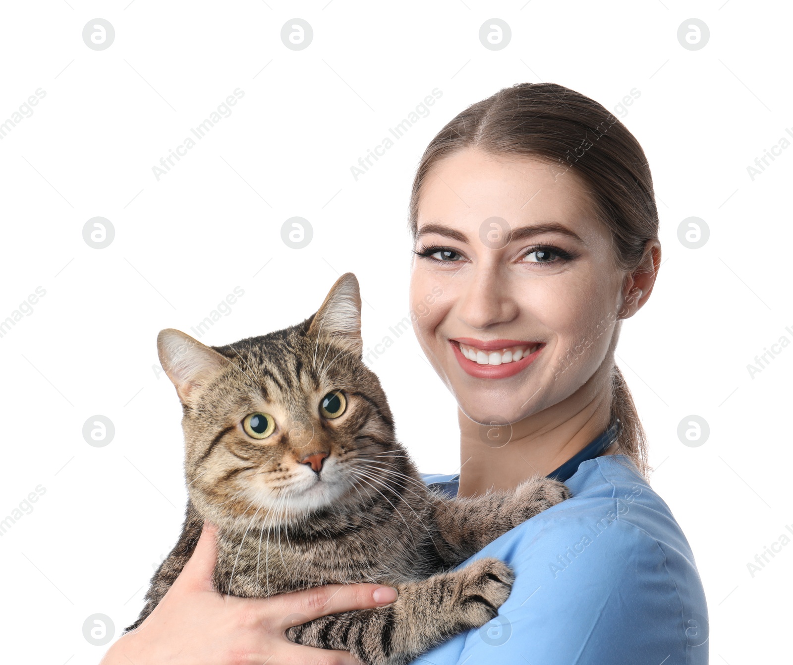 Photo of Veterinarian doc with cat on white background